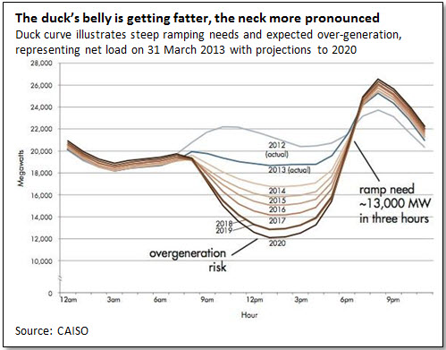 The duck’s belly is getting fatter, the neck more pronounced